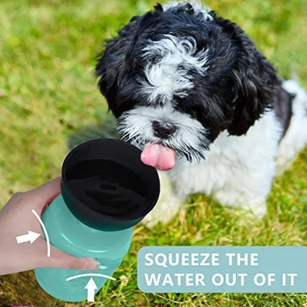 Collapsible Dog Water Bottle